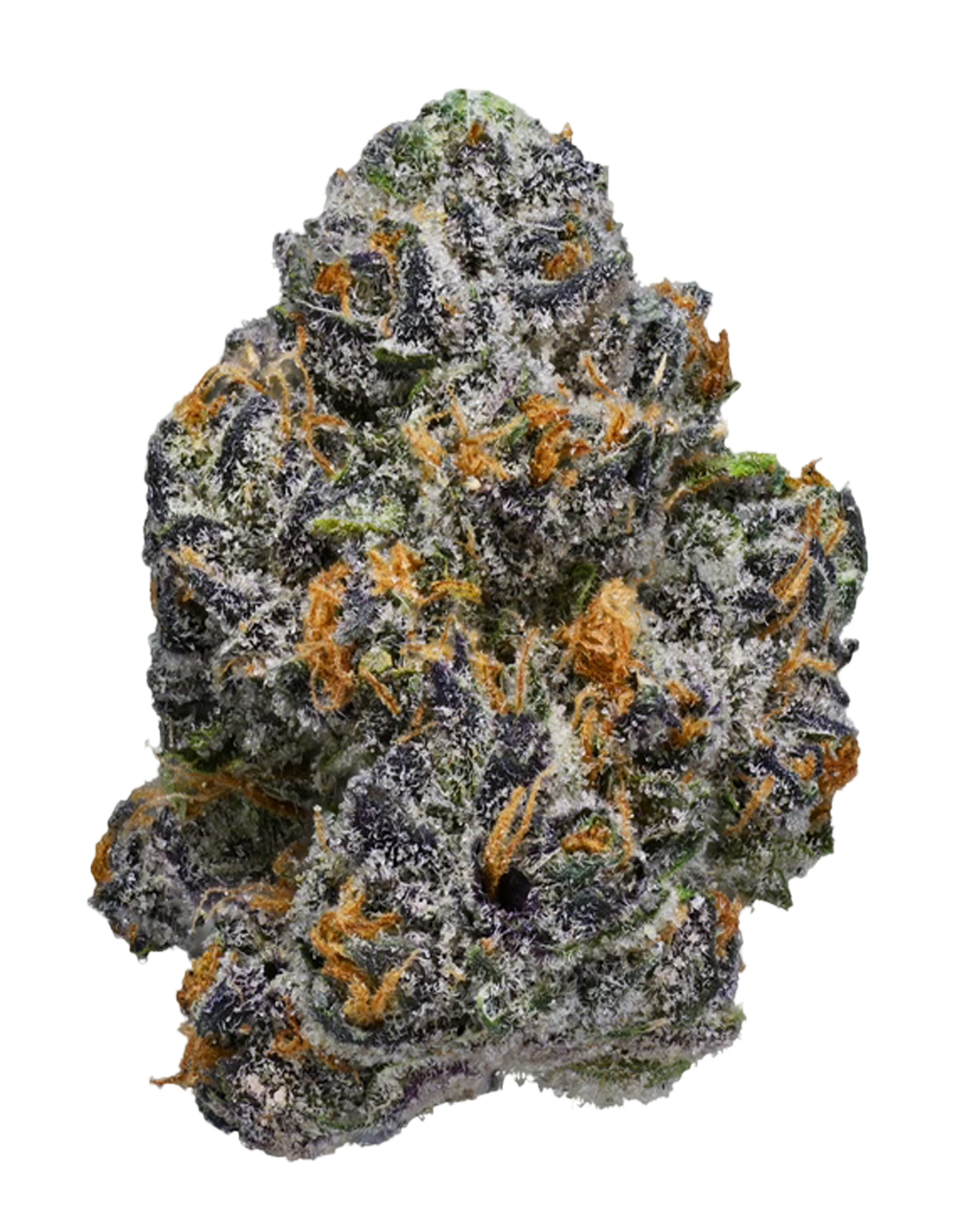 X-Ray Z – Smoken Promises