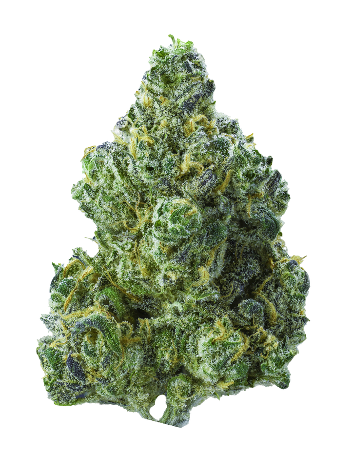 Blue Dream
