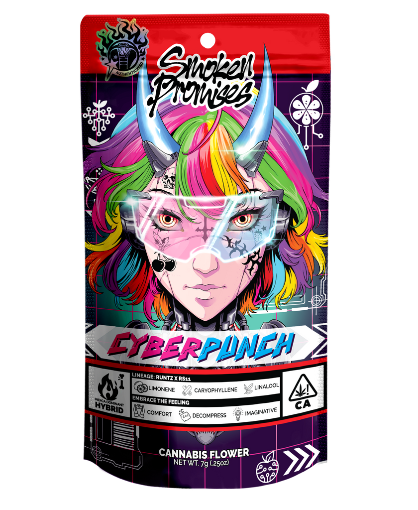 Cyberpunch Quarter – Smoken Promises