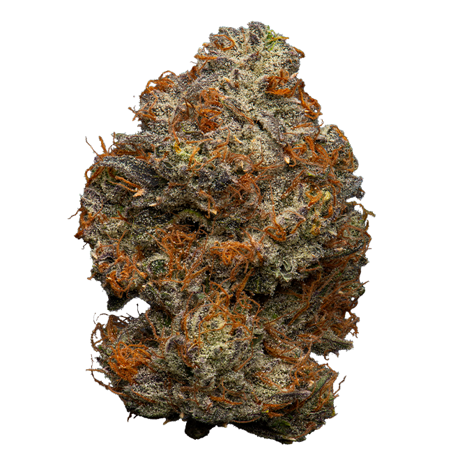 Citron Bomb