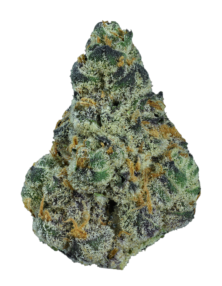 Love Potion