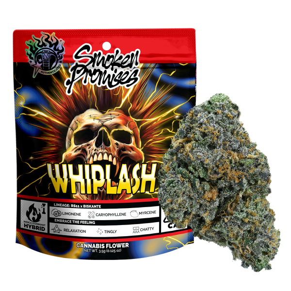 Whiplash Eighth