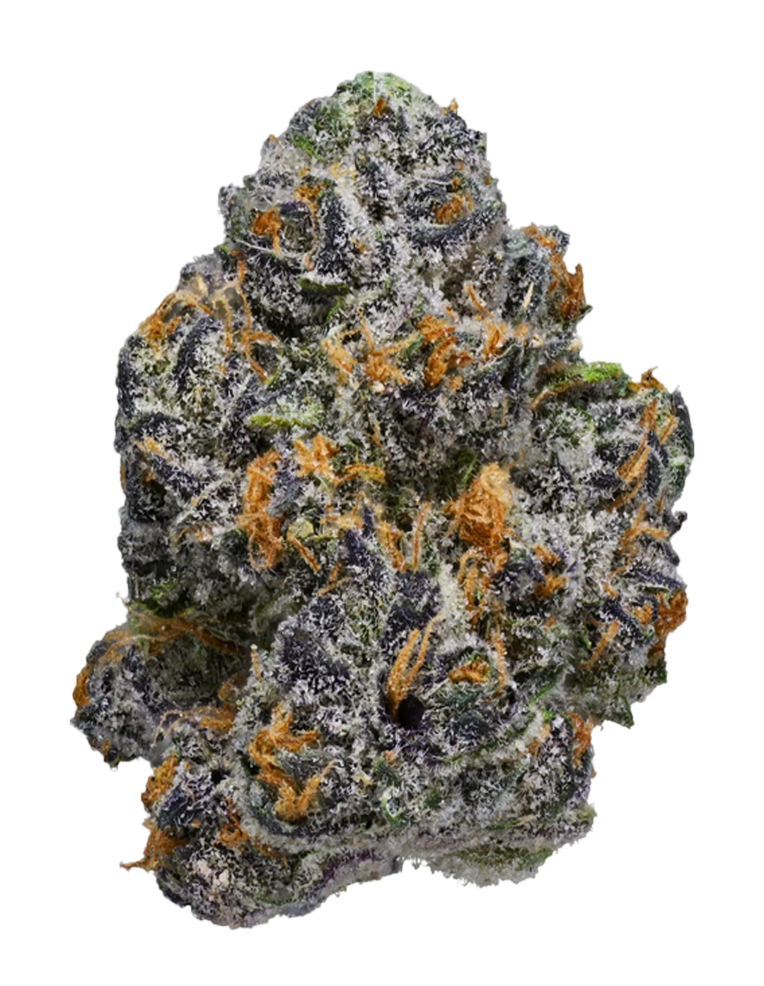 X-Ray Z – Smoken Promises X-Ray Z – Smoken Promises