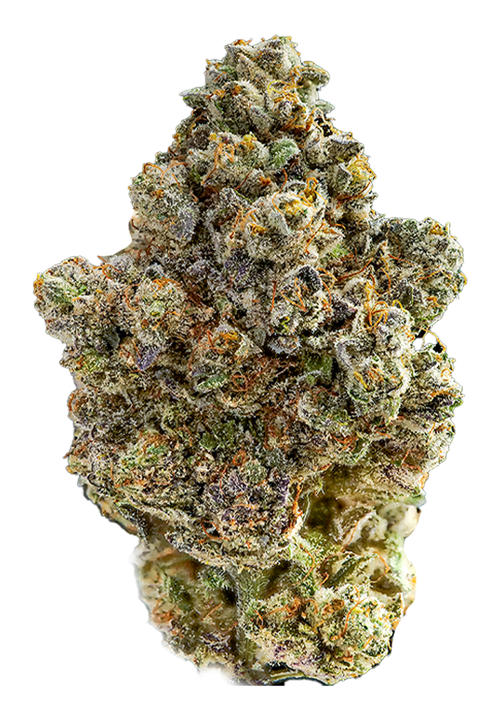 Sugar Rush