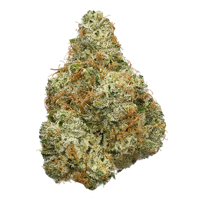 Vampire OG